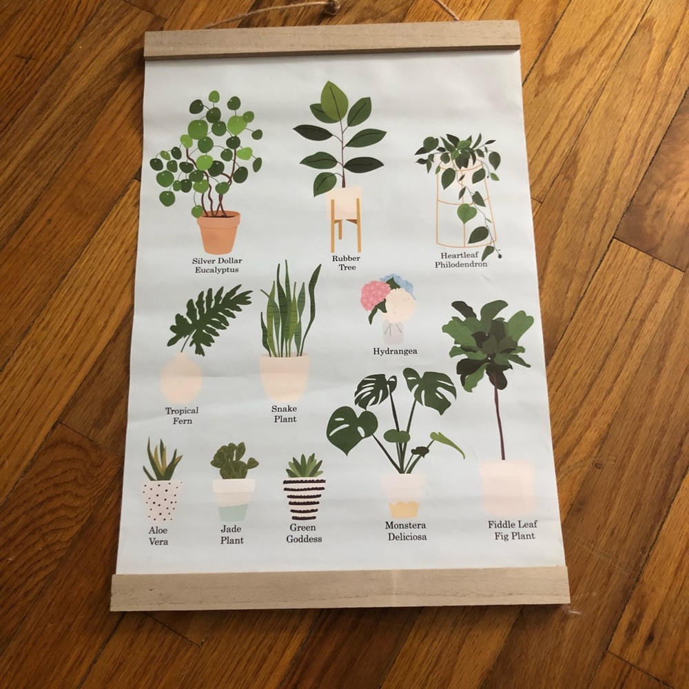4/$20 Room decor